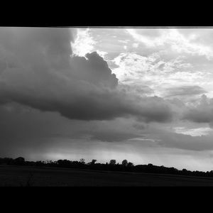 Meet your Posher, Betsy